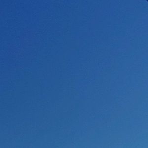 Meet your Posher, Preston